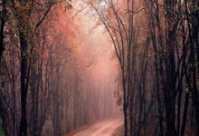 久久澡久久澡干婷婷视频在线看的简单介绍